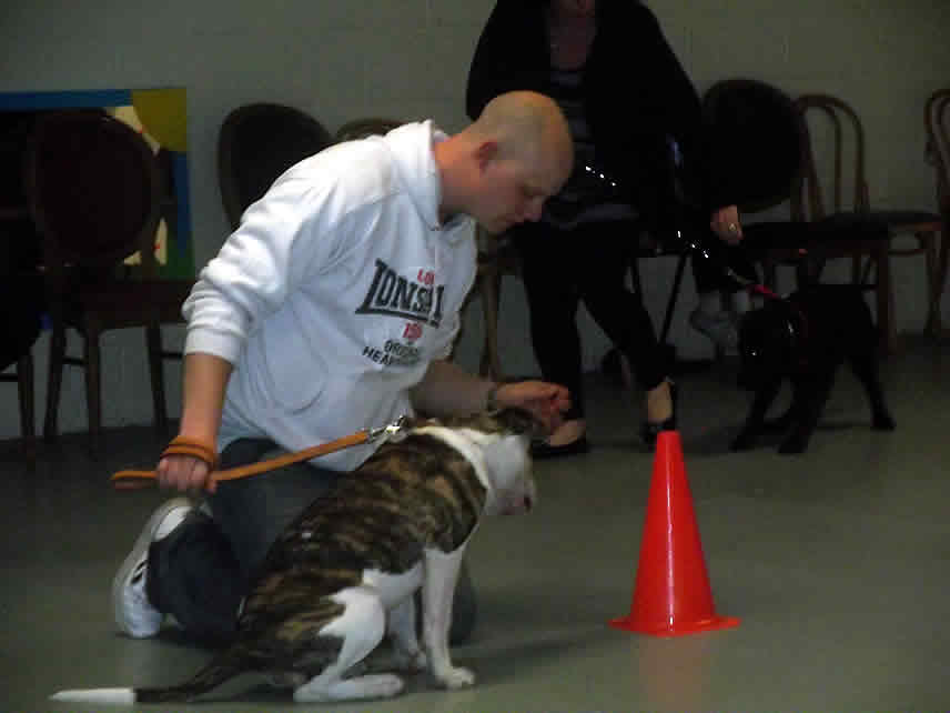 Puppy Training Classes Sheppey, Sittingbourne, Medway Towns, Faversham